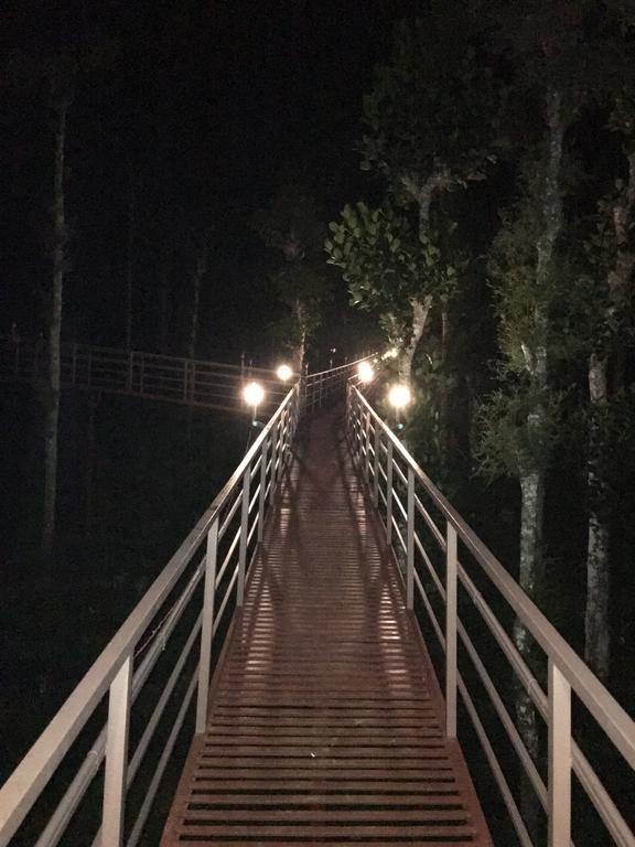 苏丹巴特利Harmony Farm Wayanad别墅 外观 照片